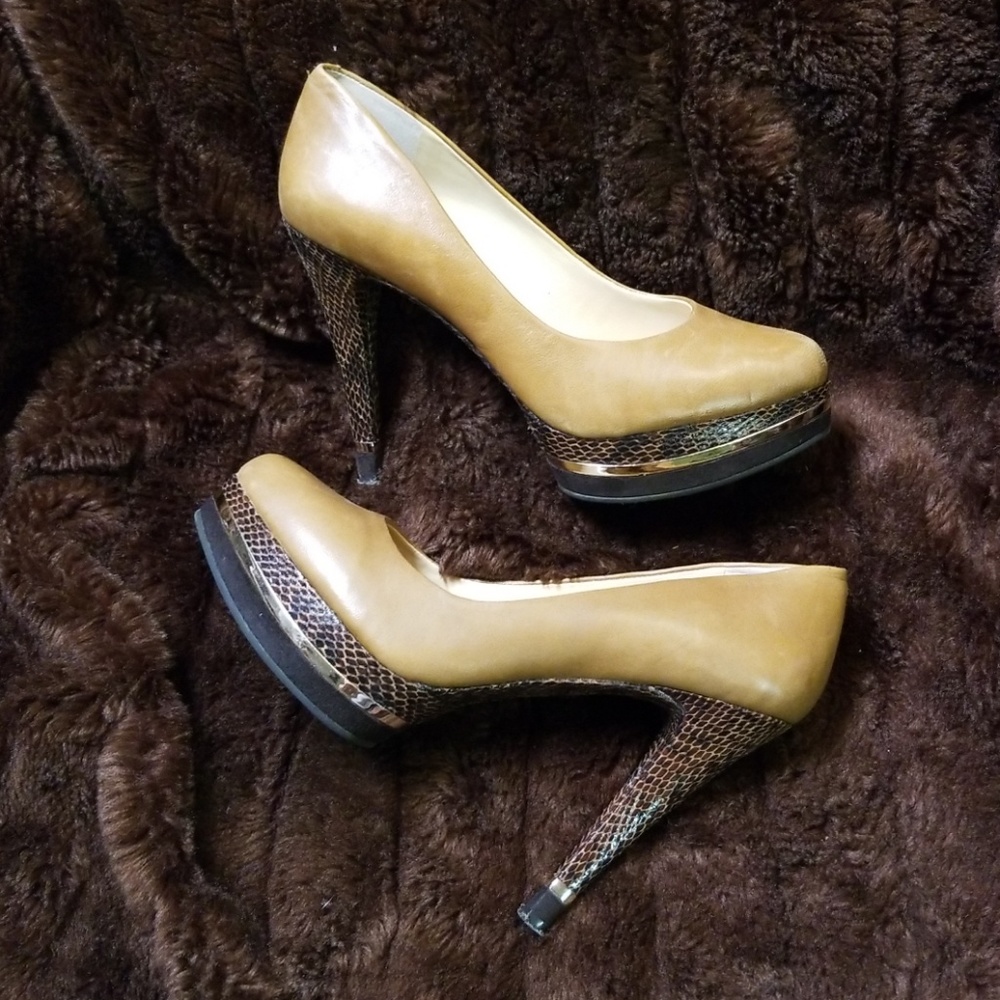 Gianni Bini Brown W/Gold trim &Snake Skin